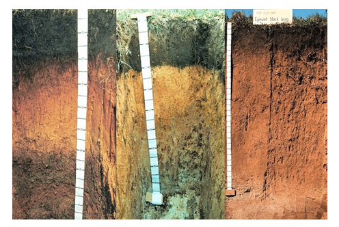 <em>Fig 3.2 Different soil colours</em>