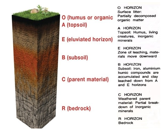 <em>Fig 3.5 Soil profile</em>