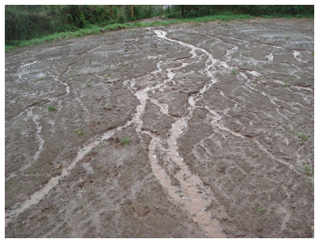<em>Fig 3.9 Rill erosion</em>