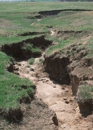 <em>Fig 3.10 Gulley erosion</em>