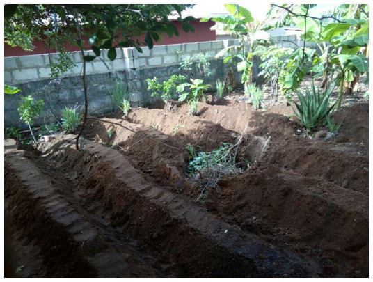 <em>Fig 3.12 Terraces made across a steep slope</em>