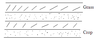 <em>Fig 3.13 Strip cropping/cultivation</em>