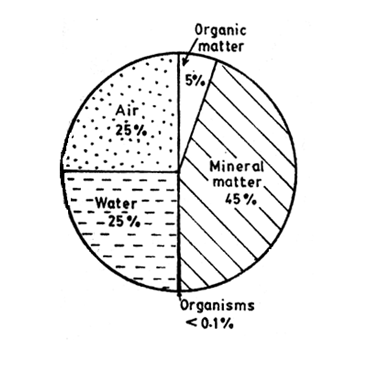 <em>Fig 3.1 Soil composition by volume</em>