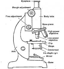 PHYSICS Form 3 Topic 4 | School Base-Online