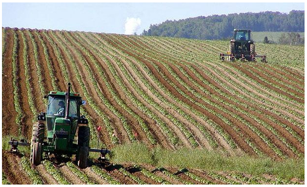 <em>Figure 2.3 Machinery productions in intensive agriculture</em>