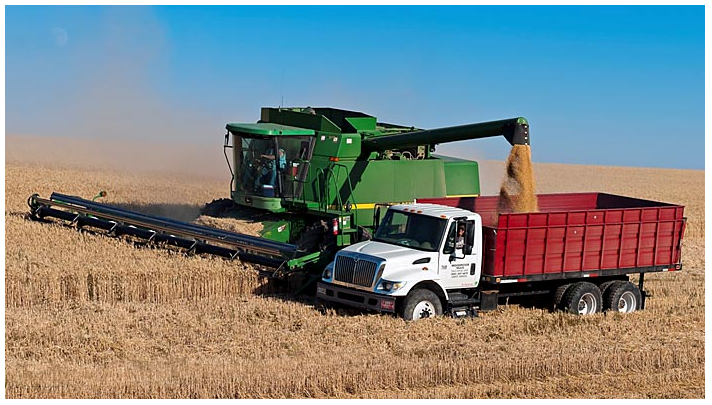 <em>Figure 2.11 Harvesting wheat using a combine harvester</em>