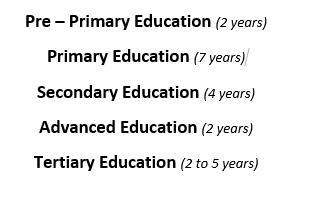 Figure:Tanzania Education System